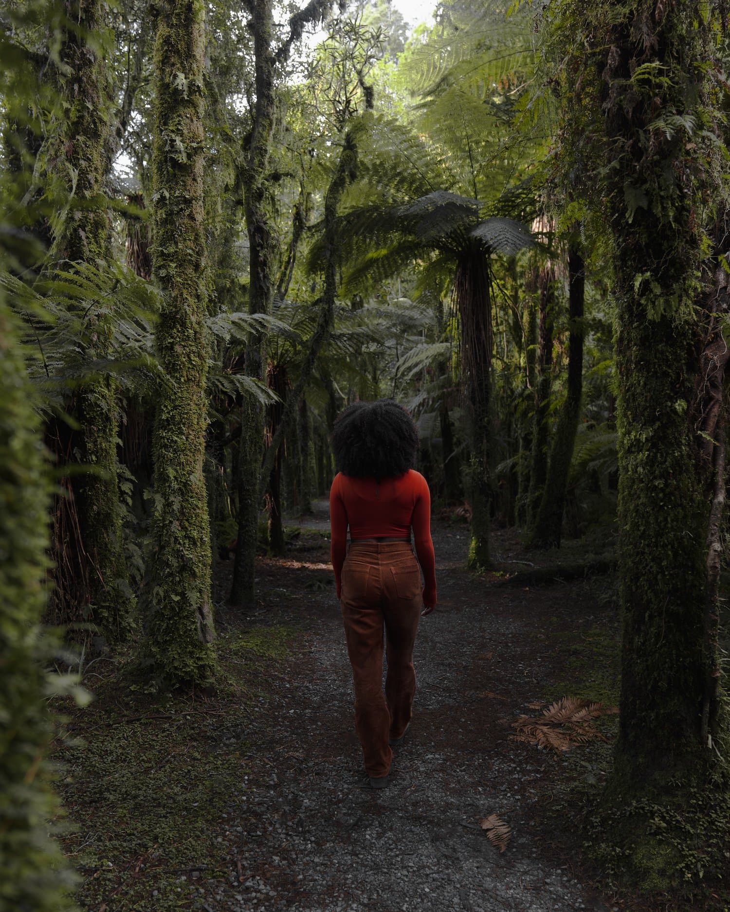 Women Hiking Through West Coast Rainforest Forest Bathing