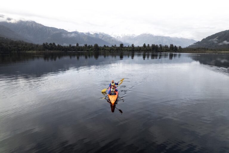 Franz Josef Wilderness Tours West Coast Large