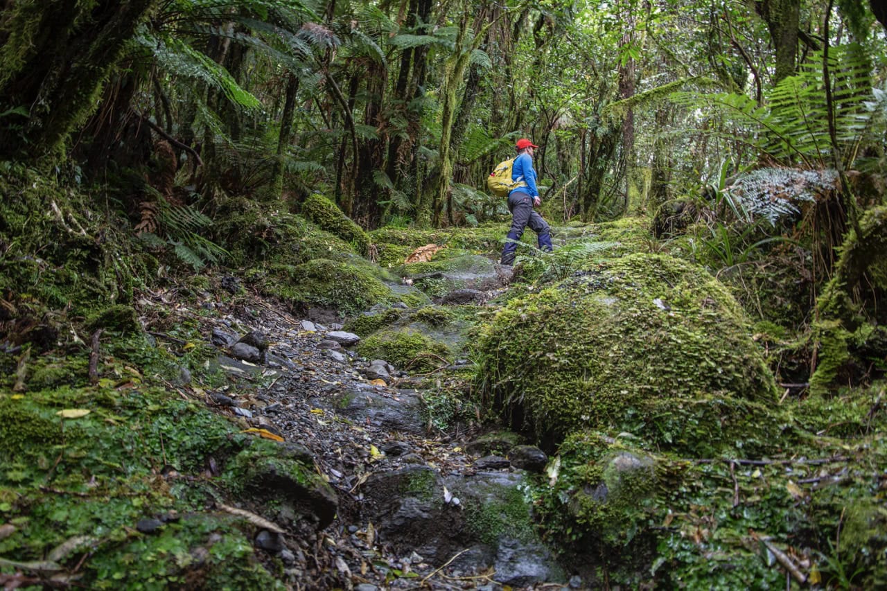 Roberts Point Track Franz Josef Roberts Point Track Franz Josef
