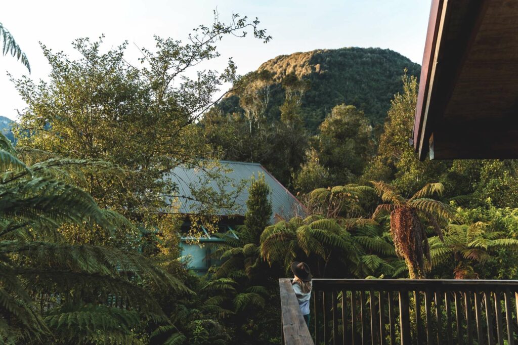 Rainforest Retreat accommodation for families